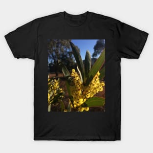 Wattle Flowers T-Shirt